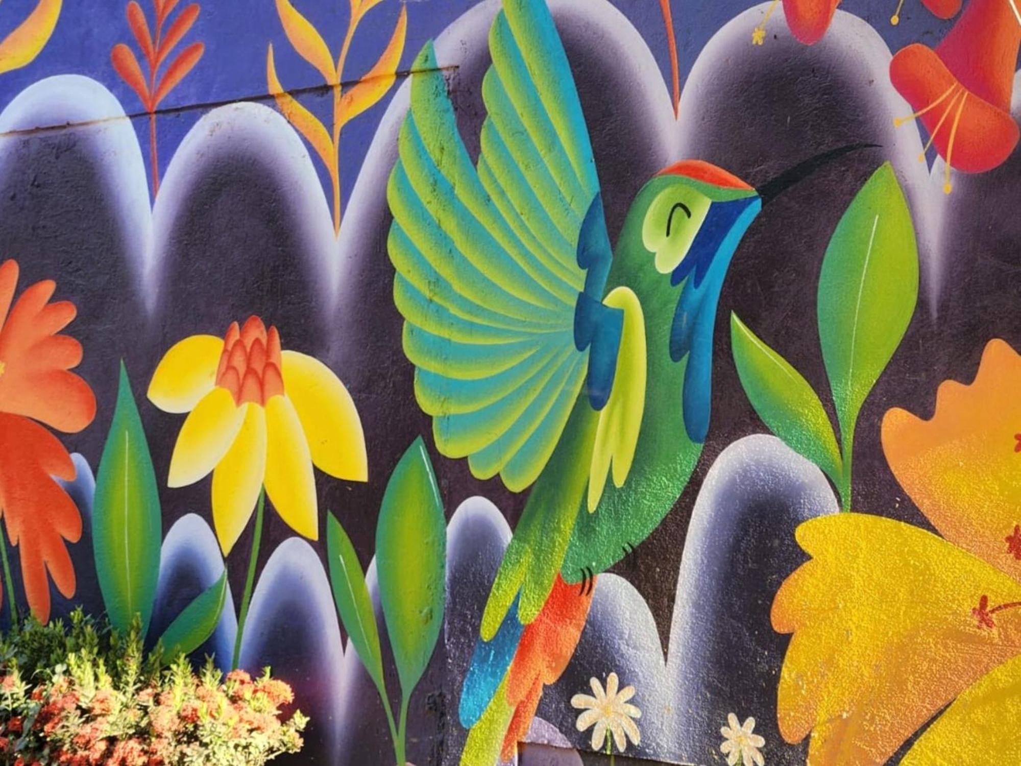 Casa Colibri Palomino Hotel ภายนอก รูปภาพ