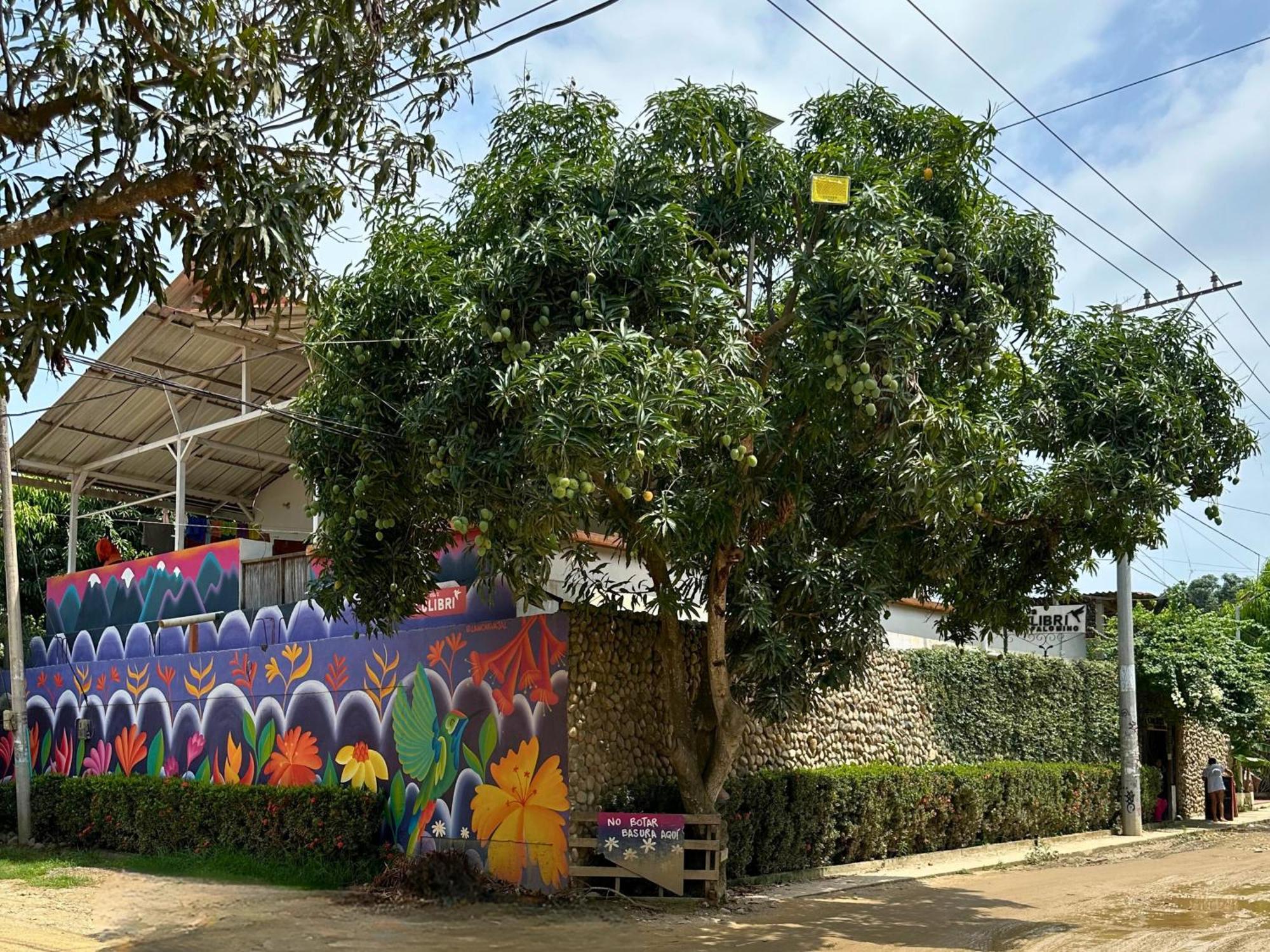 Casa Colibri Palomino Hotel ภายนอก รูปภาพ