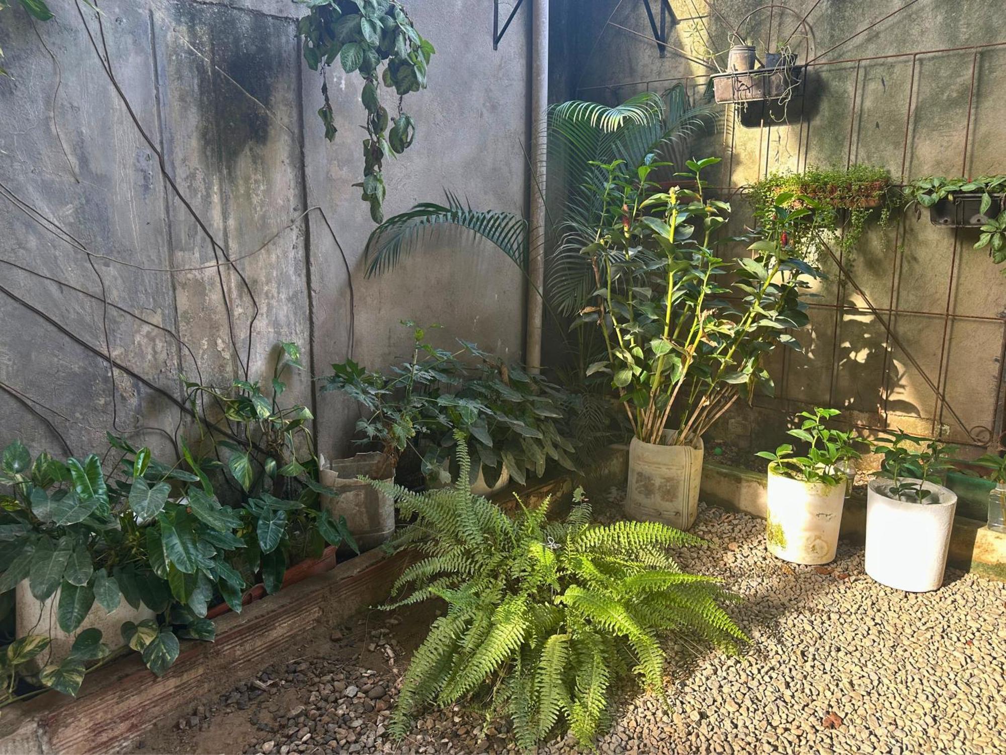 Casa Colibri Palomino Hotel ภายนอก รูปภาพ